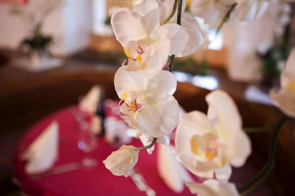 Hotel Astras Scuol Eksteriør bilde